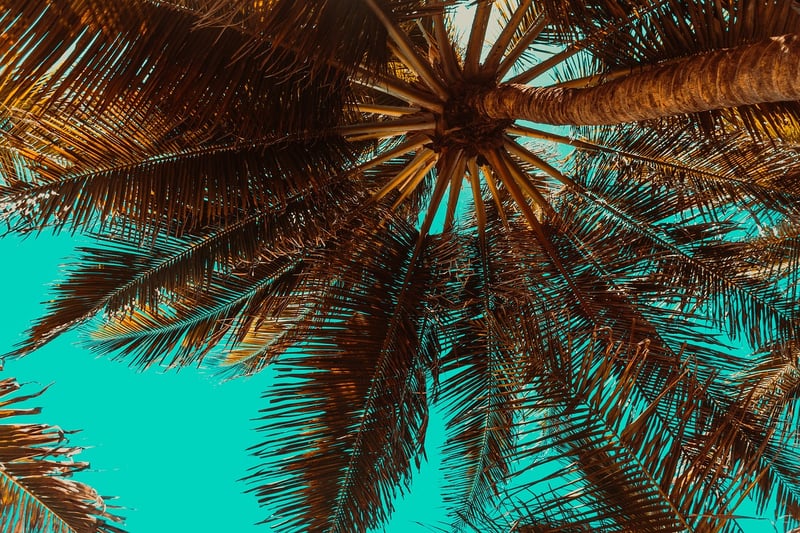 Maldives Resort