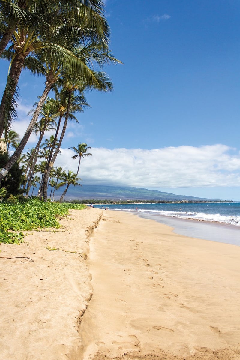 Maui Resort
